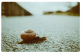 Thumbnail for version as of 20:16, 13 November 2018